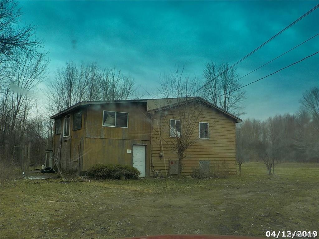 8393 Ilene Drive - Photo 1
