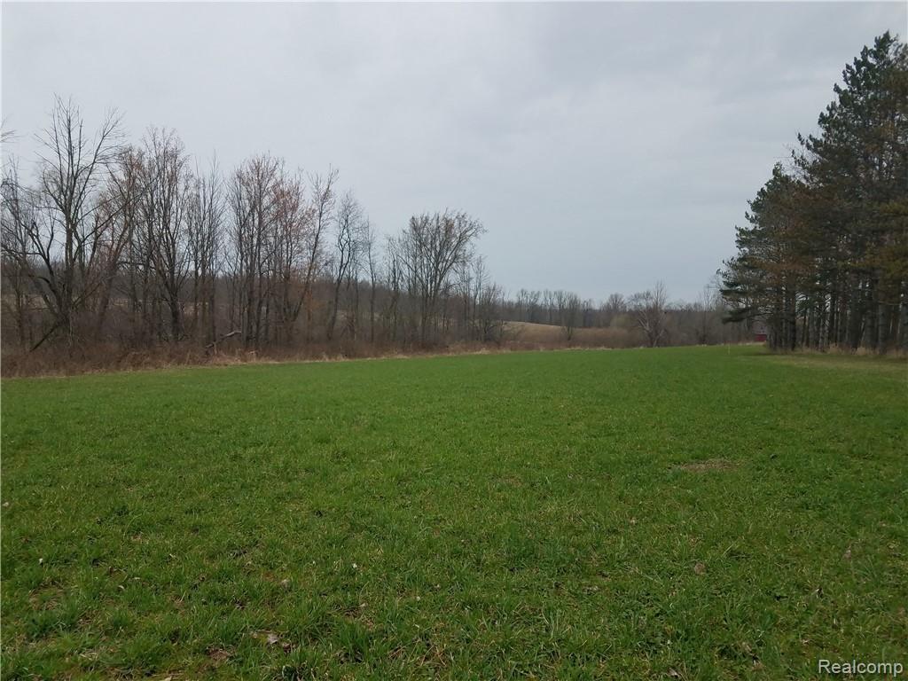 0000 Van Dyke Rd. & Martin Road - Photo 1