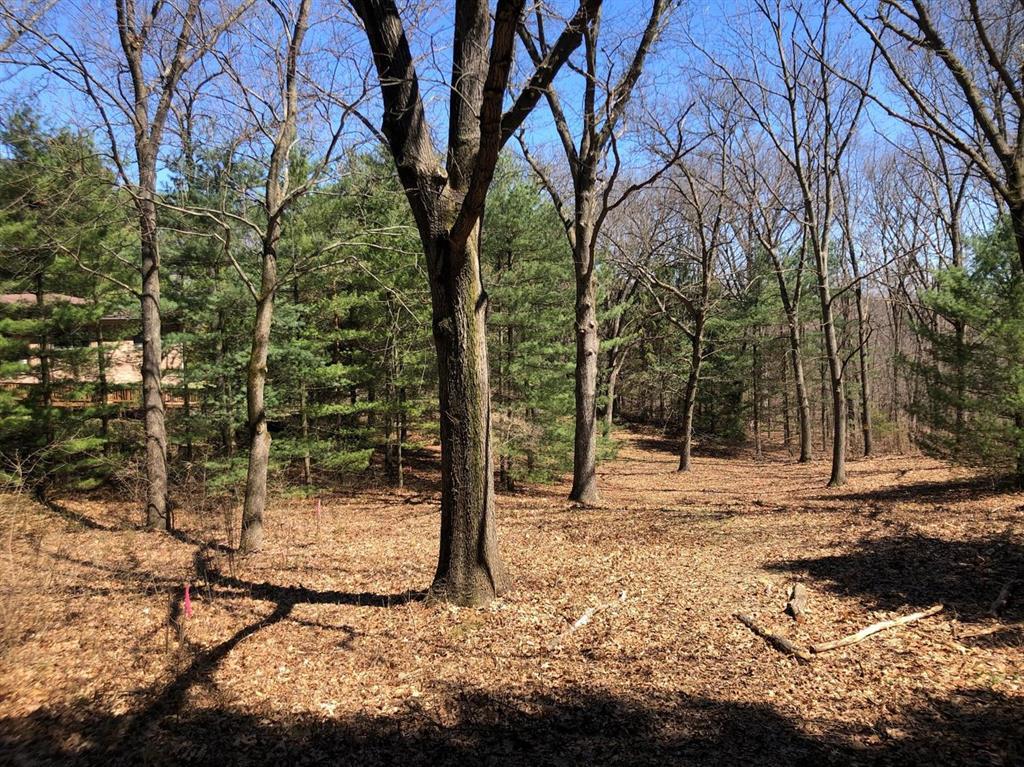 0 Moon Lake Court - Photo 1