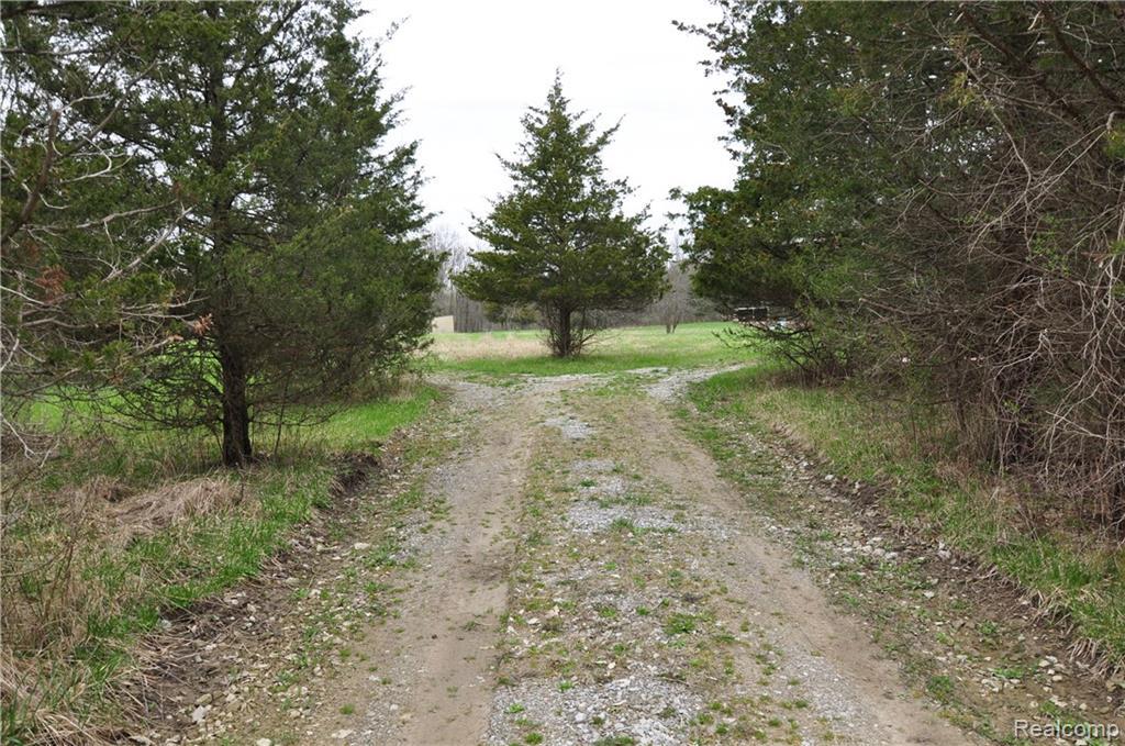 00 Sheldon Road - Photo 1