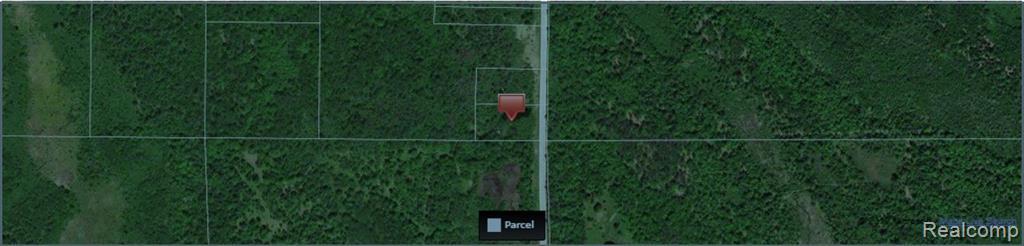 00 Maple Valley Road - Photo 1