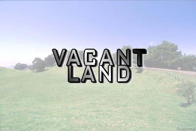 VACANT Judd Road - Photo 1
