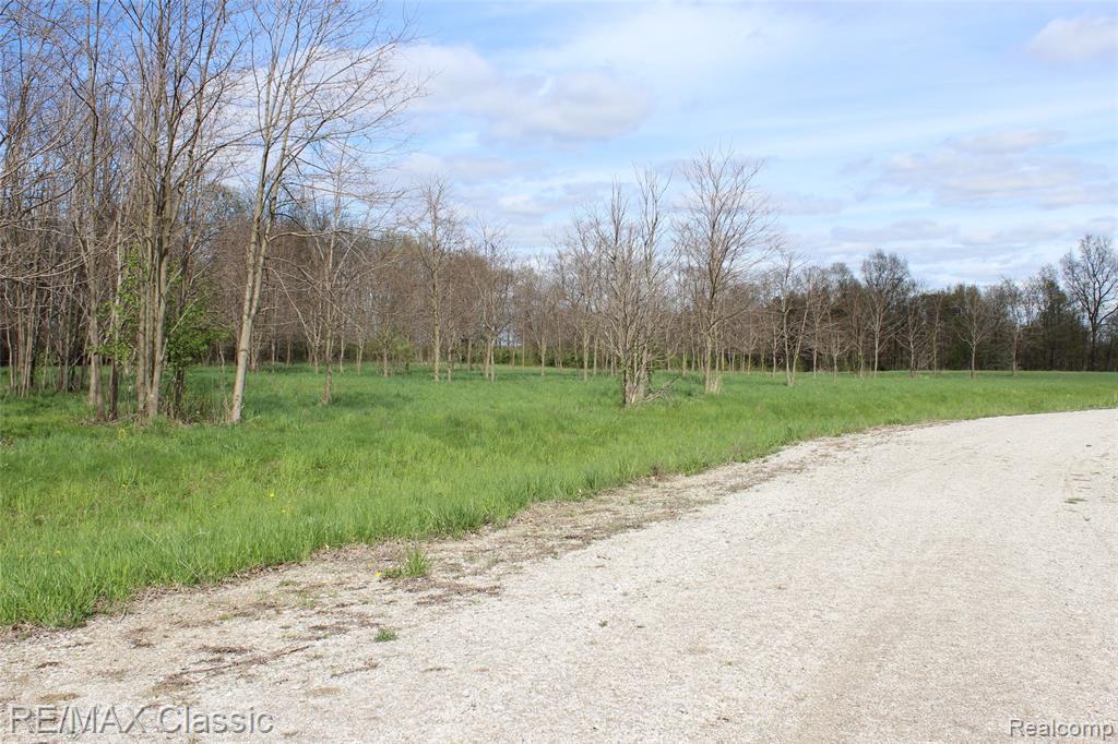 3989 Storybook Lane - Photo 1