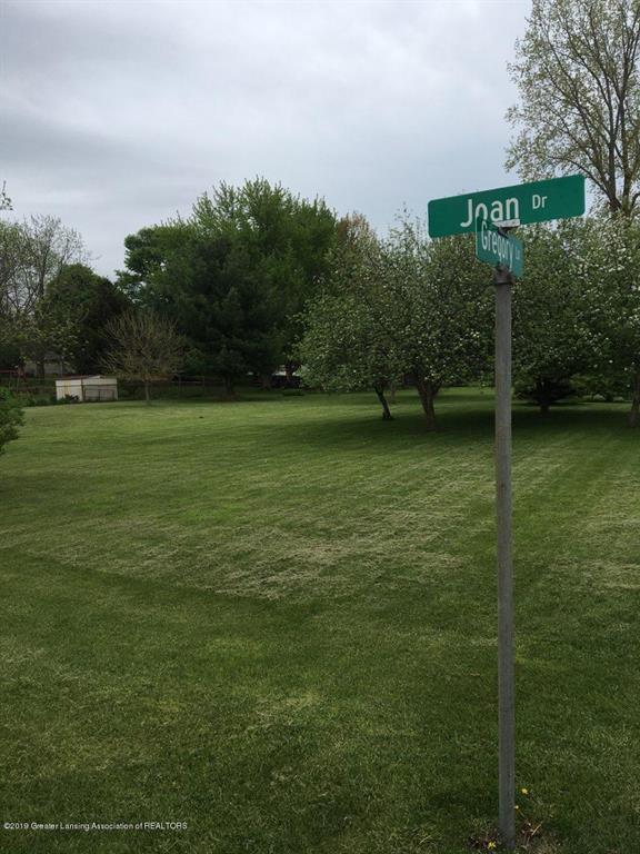 V/L Joan Drive - Photo 1
