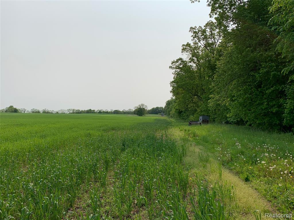 13000 Seymour Road - Photo 1