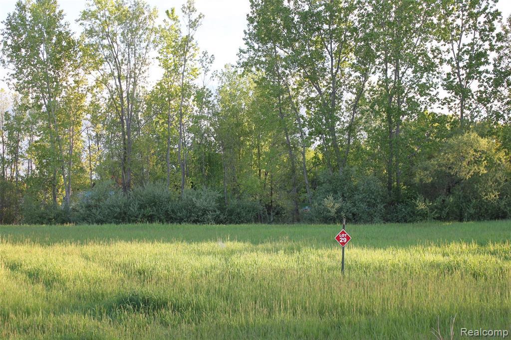 373 Corkwood - Photo 1