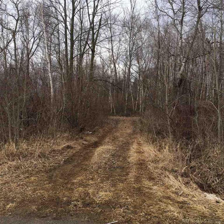 Kelly Rd - Photo 1