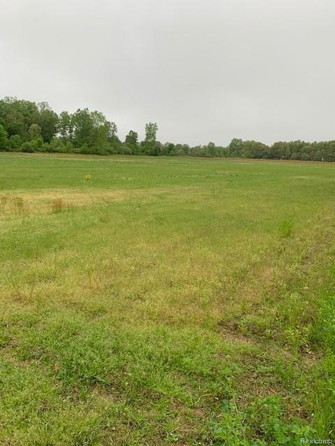 0 Wilson Road - Photo 1