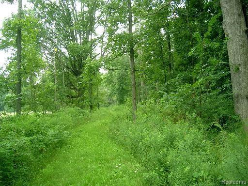 0 Columbiaville Road - Photo 1