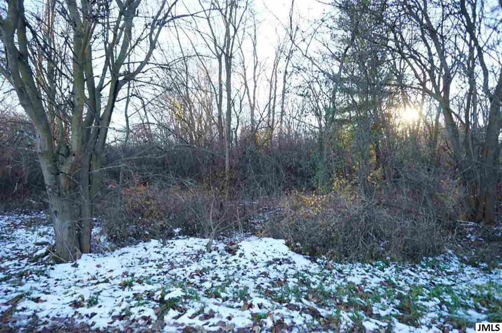 0 Dan Dell Circle - Photo 1