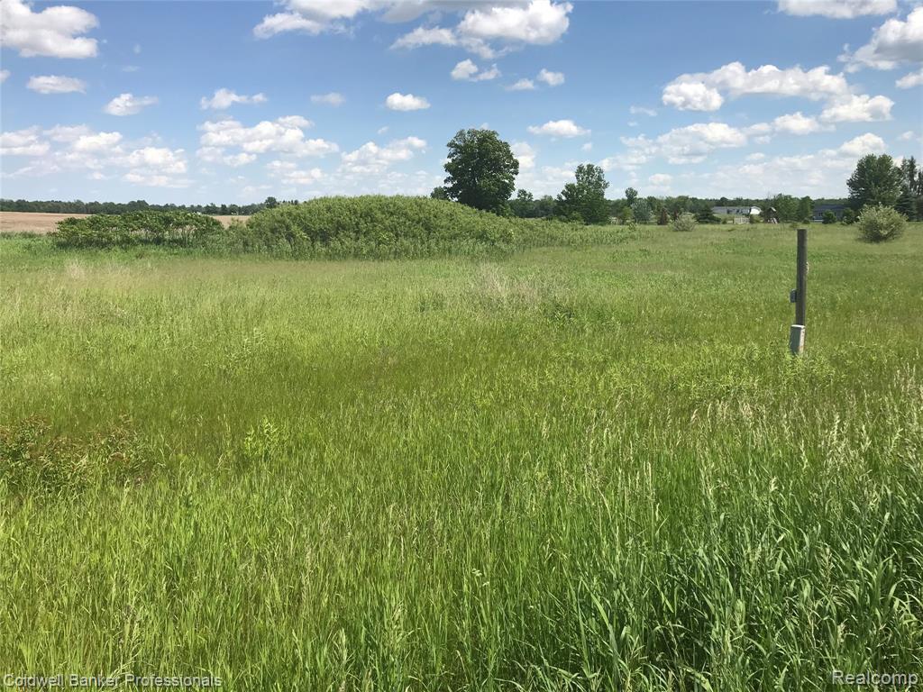 0000 Lapeer Road - Photo 1