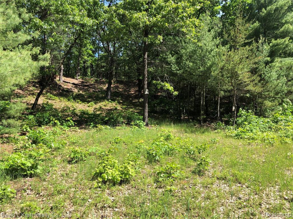 2914 Weaver Rd - Photo 1