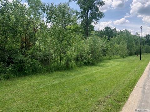 7305 Red Maple Drive - Photo 1