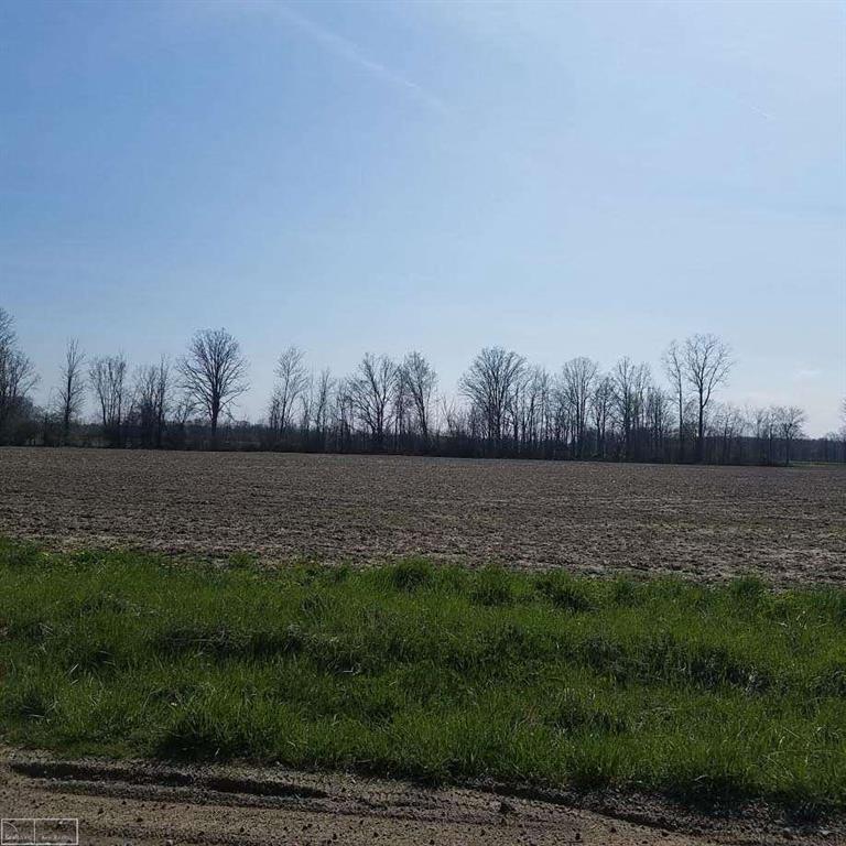 0 Omo - Lot 9 - Photo 1