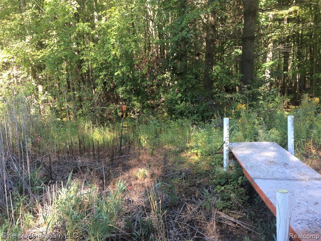 0 St Clair Highway - Photo 1