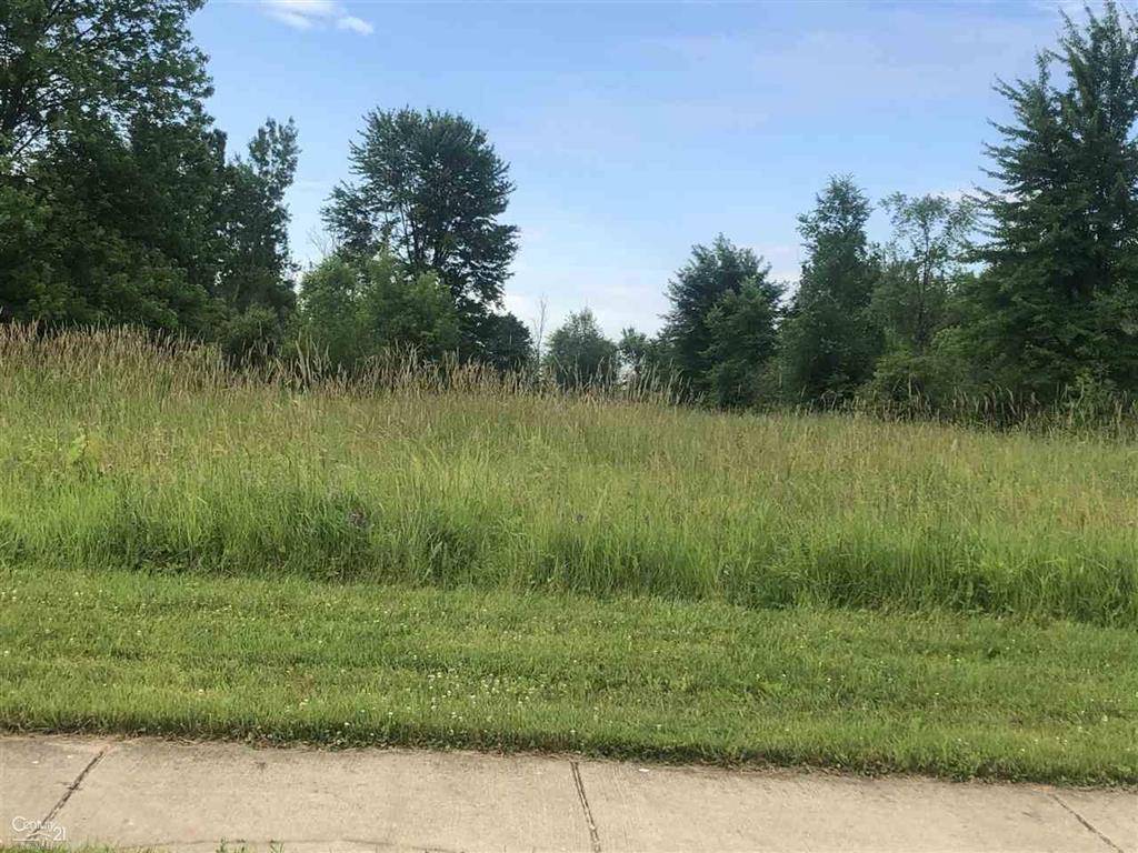 0 Orchard Lot 4 - Photo 1