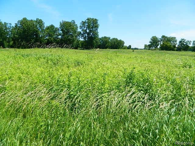 000 Lovejoy Road - Photo 1