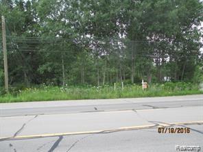 00 Ortonville Road - Photo 1