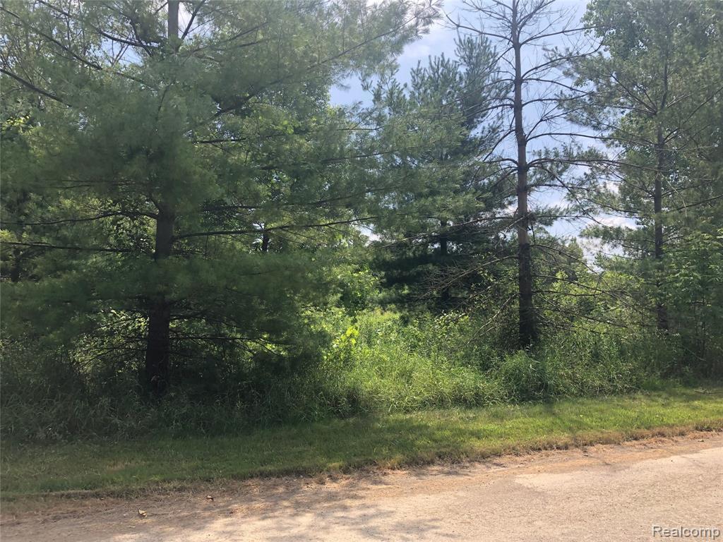 8165 Creekwood Drive - Photo 1