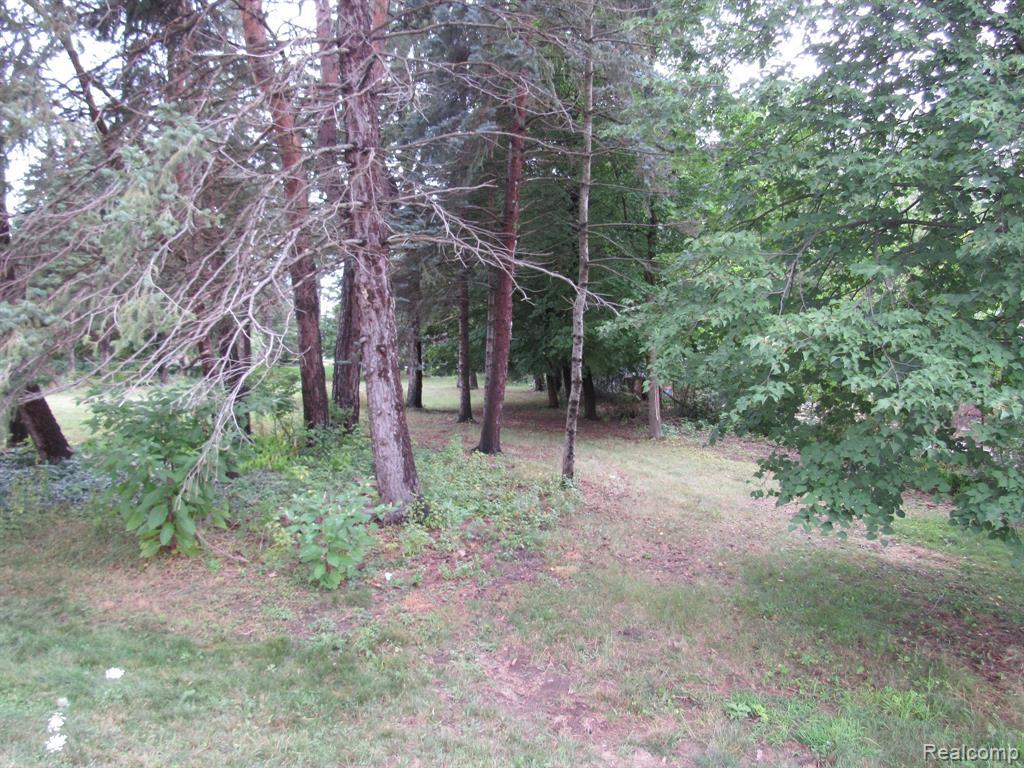 43637 Dequindre Road - Photo 1