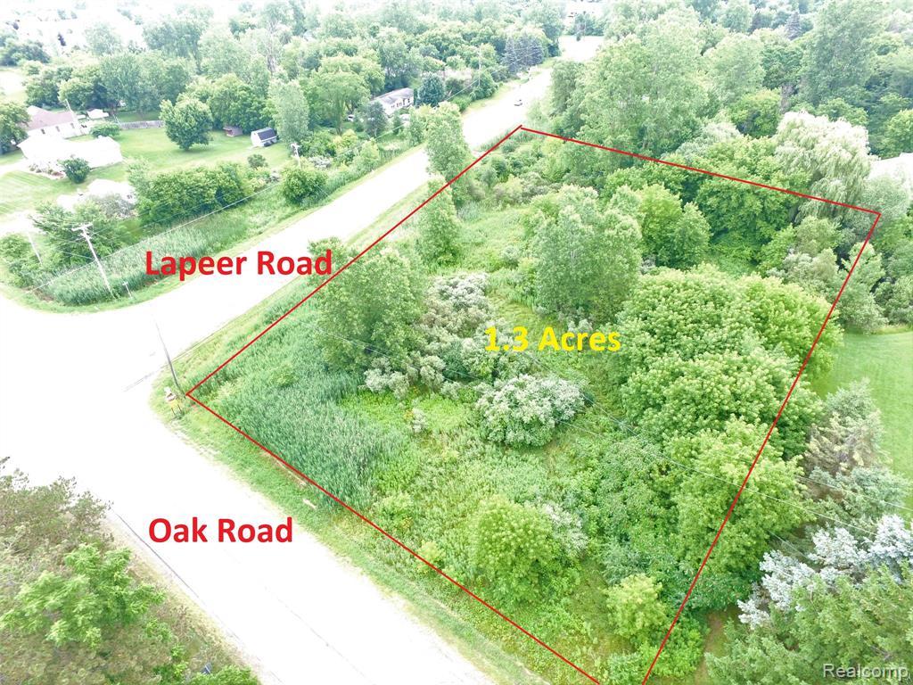 11010 Lapeer Road - Photo 1