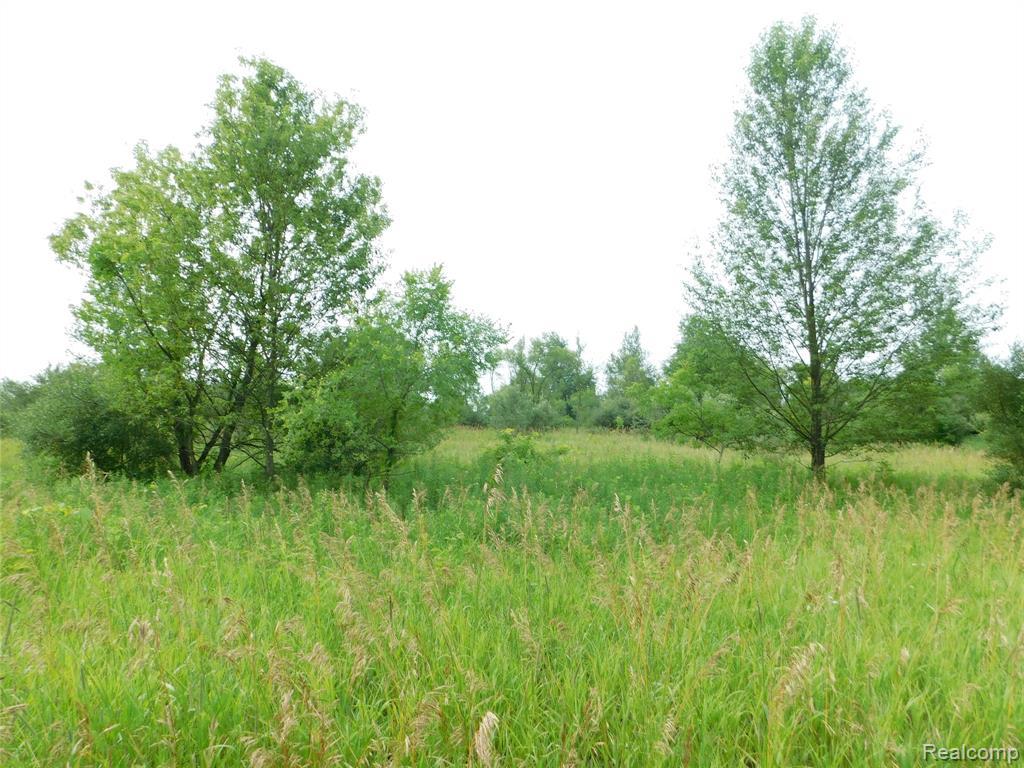 5851 Schafer - Photo 1