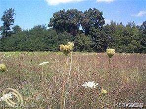 lot 32 Outback Trail - Photo 1