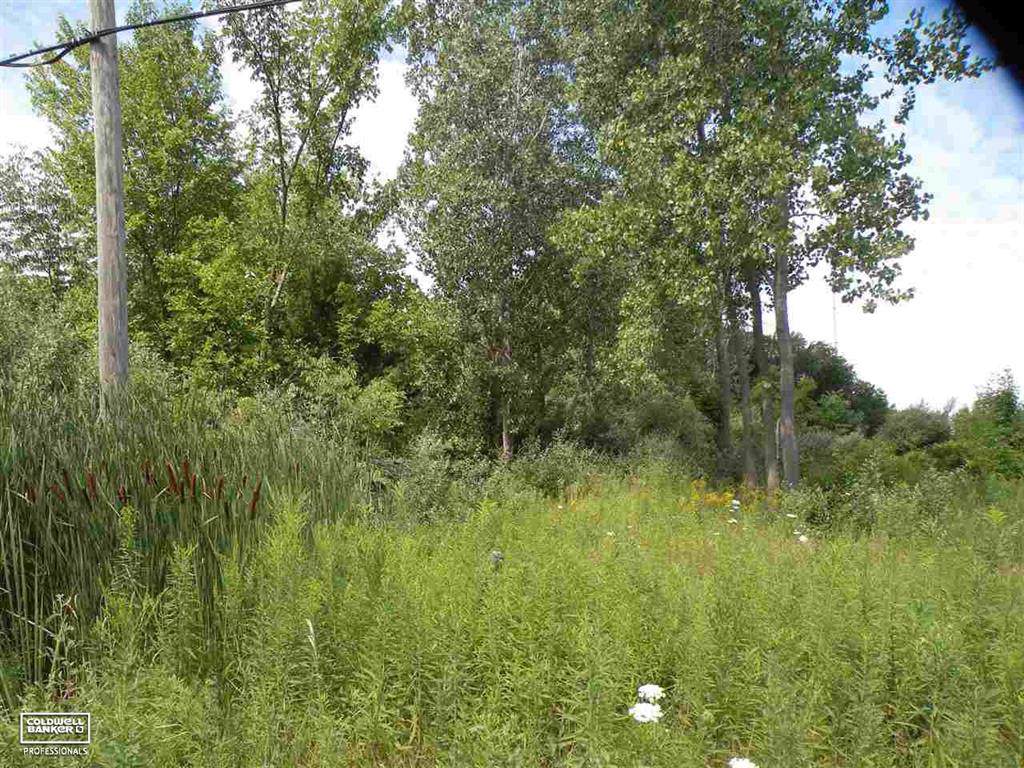 000 Gratiot - Photo 1