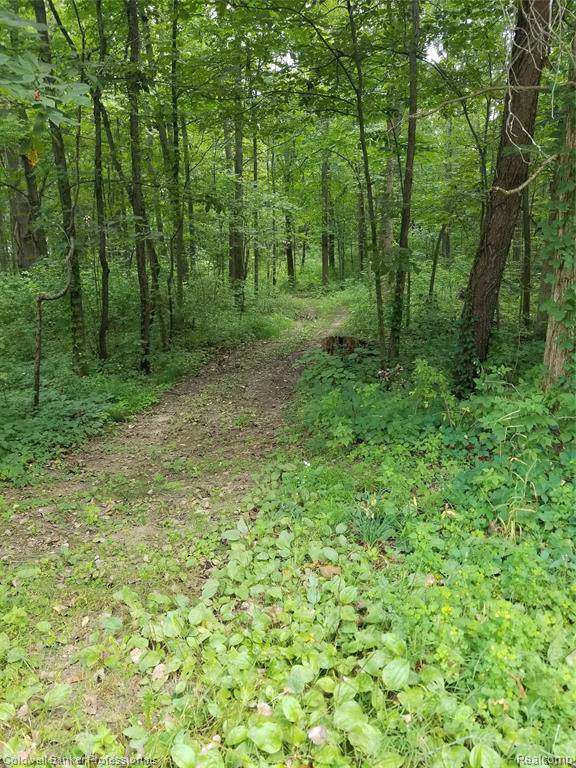 8629 Beard Road - Photo 1