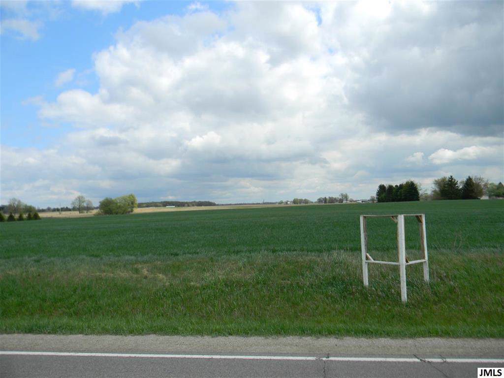 Grass Lake Rd - Photo 1