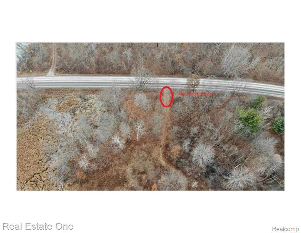 0000 Seven Mile - Photo 1
