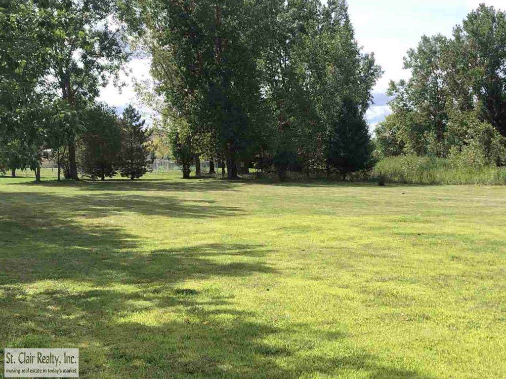 871 Birkdale Drive - Photo 1