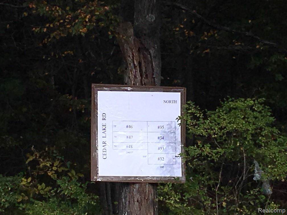 000 Cedar Lake Road - Photo 1