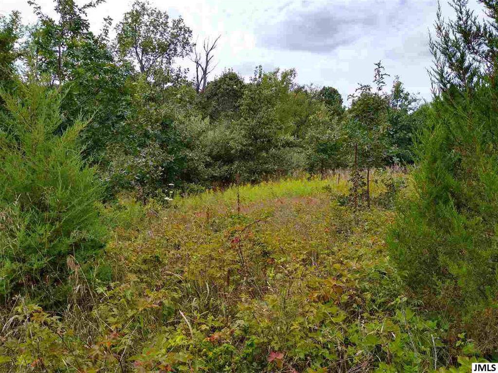 12000 Grassy Lake Rd - Photo 1 12000 Grassy Lake Rd - Photo 1