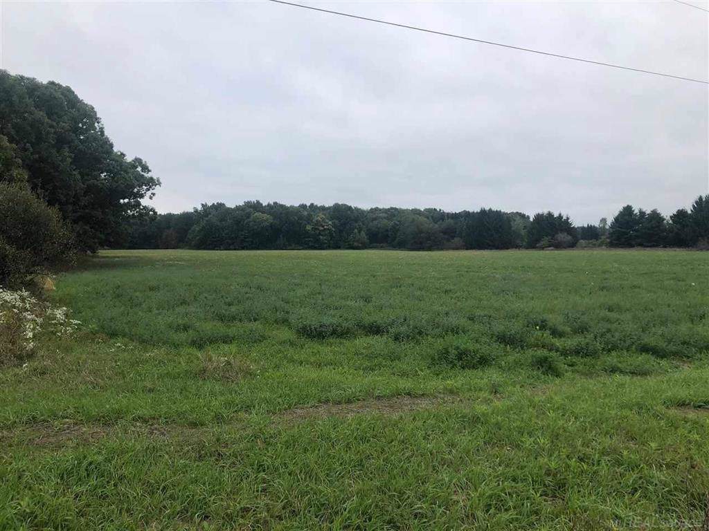 0 Capac Rd - Photo 1