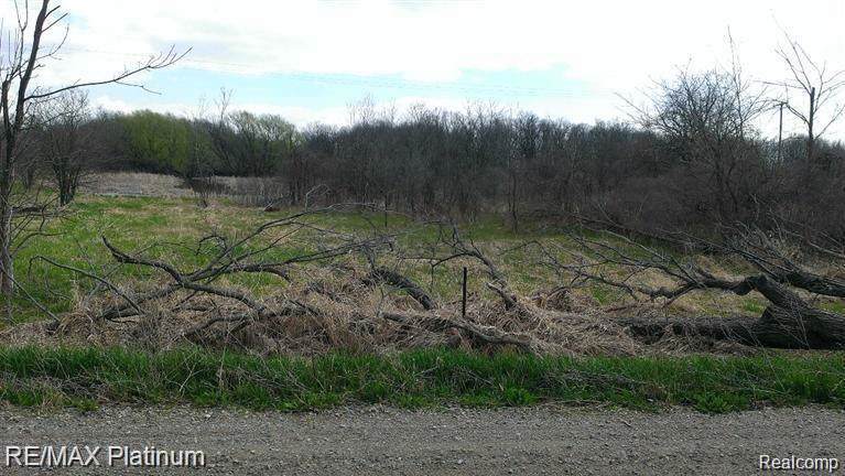 3661 Rentz Road - Photo 1