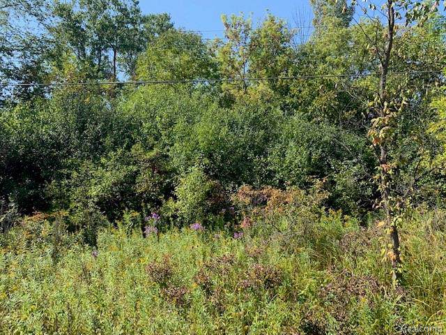 5505 Oleksyn Road - Photo 1