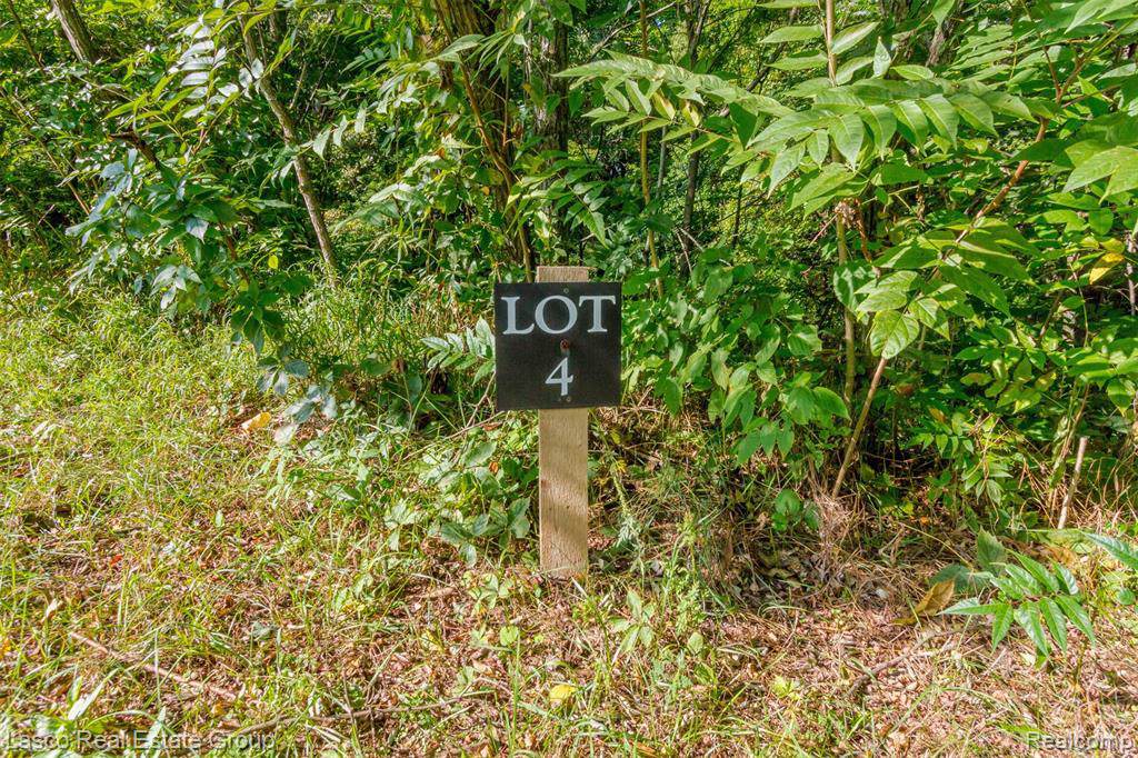 16233 Catalpa Ridge (Lot 4) Drive - Photo 1