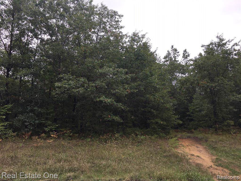 000 Freeman Road - Photo 1