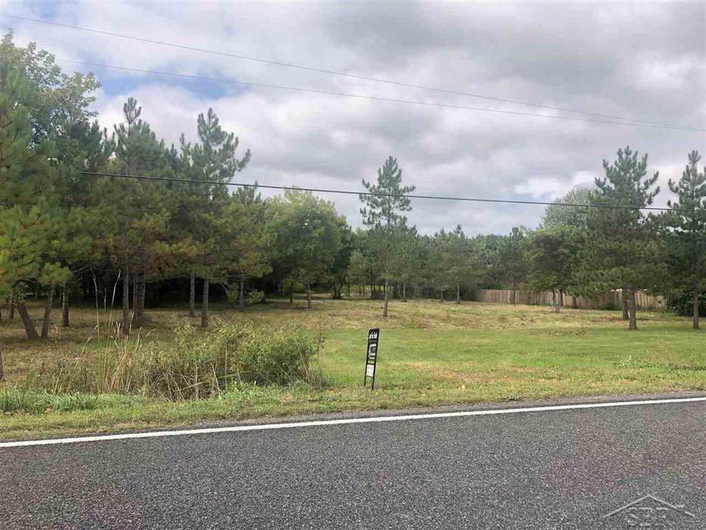 Smiths Crossings Rd - Photo 1