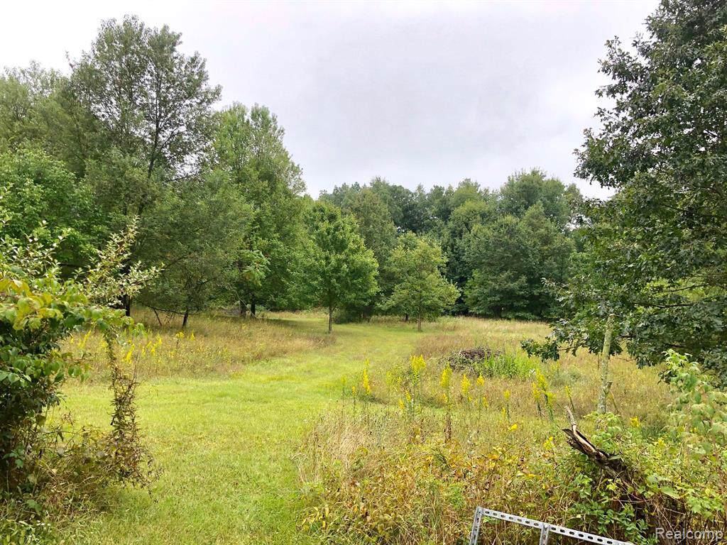 4570 Blood Road - Photo 1