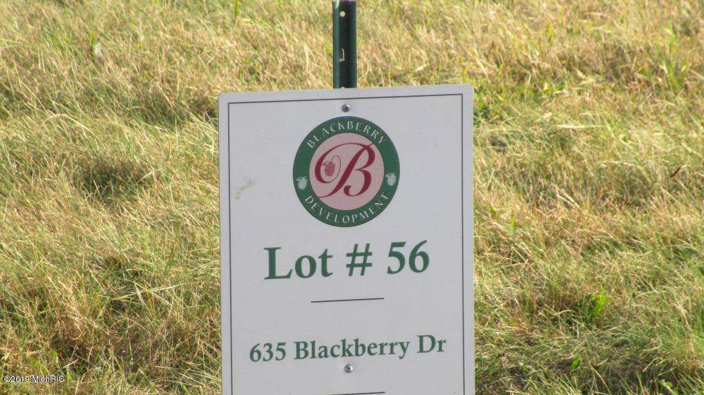 635 Blackberry Dr - Photo 1