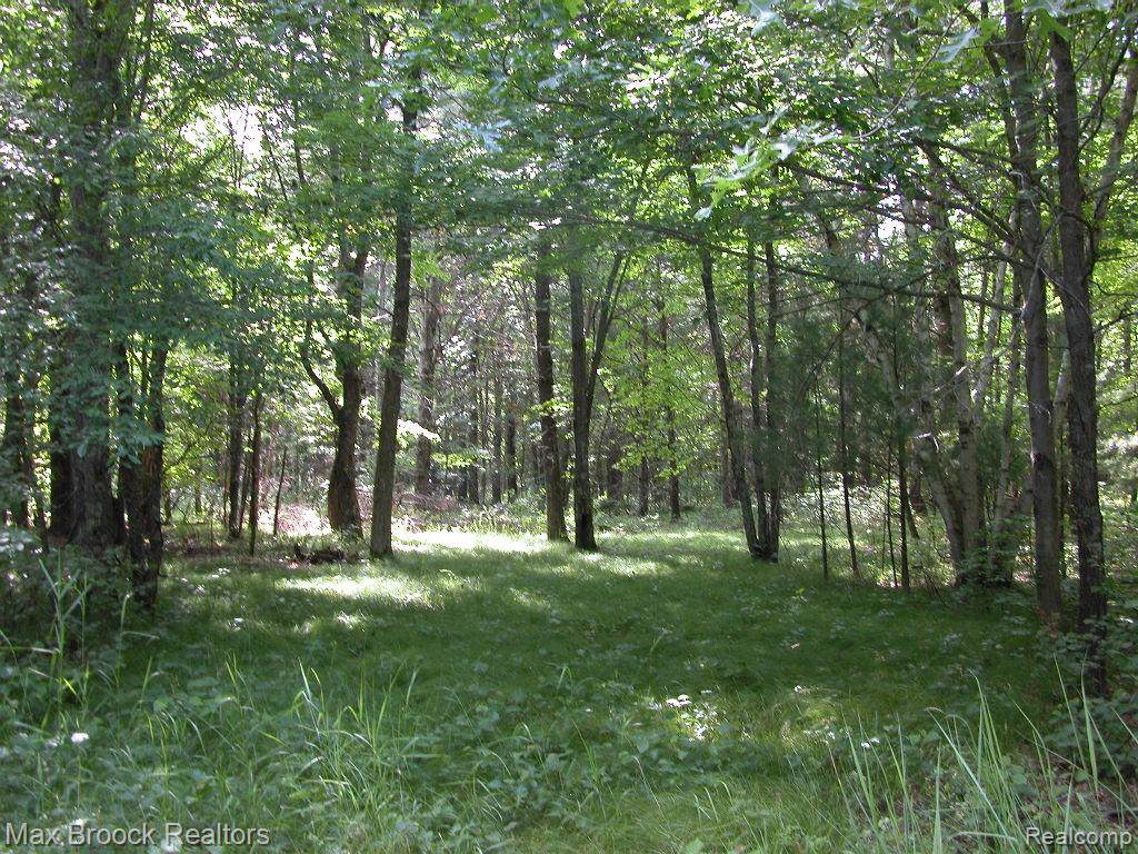 0000 Devon Road - Photo 1