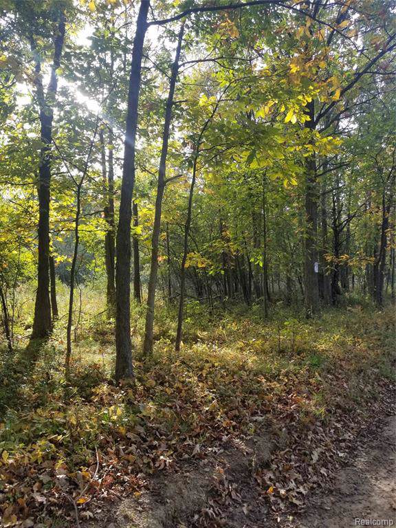 00 Hellner Road - Photo 1