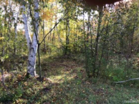 2211 Underwood Road - Photo 1