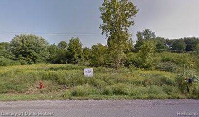 0 Cook Road - Photo 1