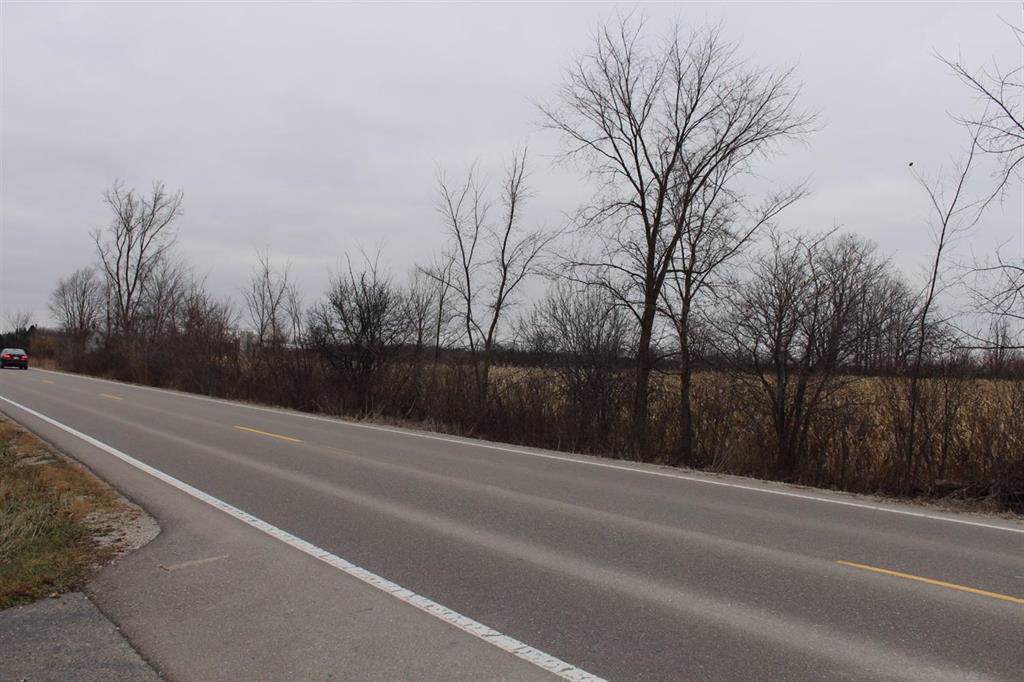 0 Willis Road - Photo 1