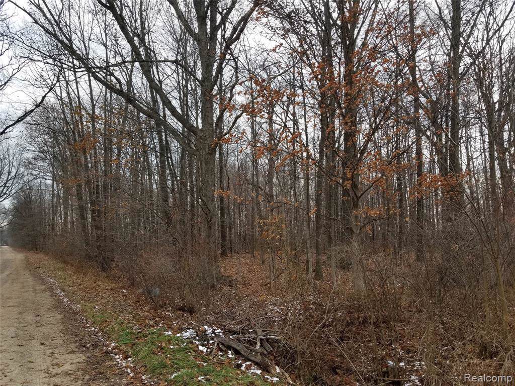 LOT A Hunt Road - Photo 1