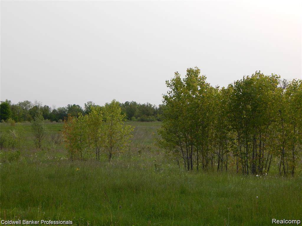 Parcel 3 Edda Marie Court - Photo 1 Parcel 3 Edda Marie Court - Photo 1