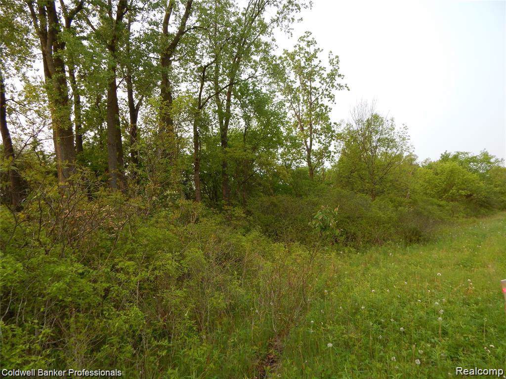 Parcel 5 Edda Marie Court - Photo 1 Parcel 5 Edda Marie Court - Photo 1